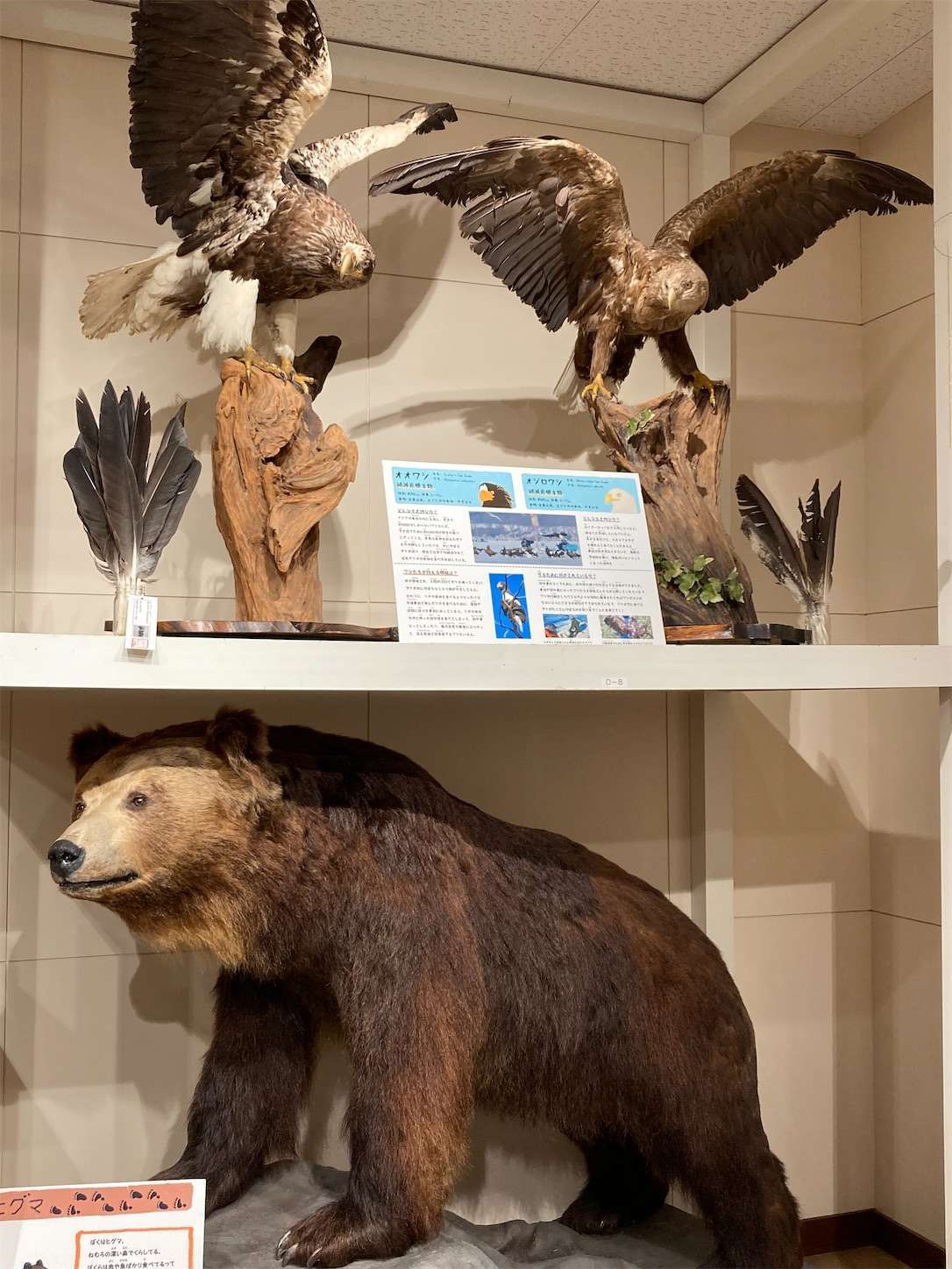 f:id:moomoon6355:20221004180324j:image f:id:moomoon6355:20221004180324j:image