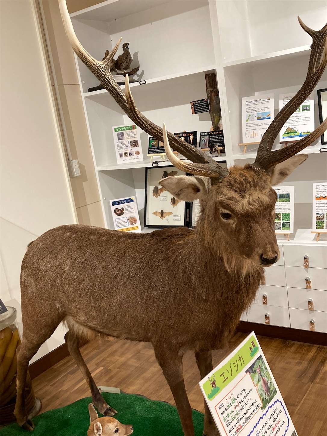 f:id:moomoon6355:20221004180328j:image f:id:moomoon6355:20221004180328j:image