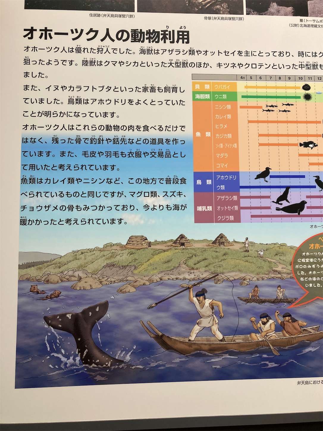 f:id:moomoon6355:20221004180544j:image f:id:moomoon6355:20221004180544j:image