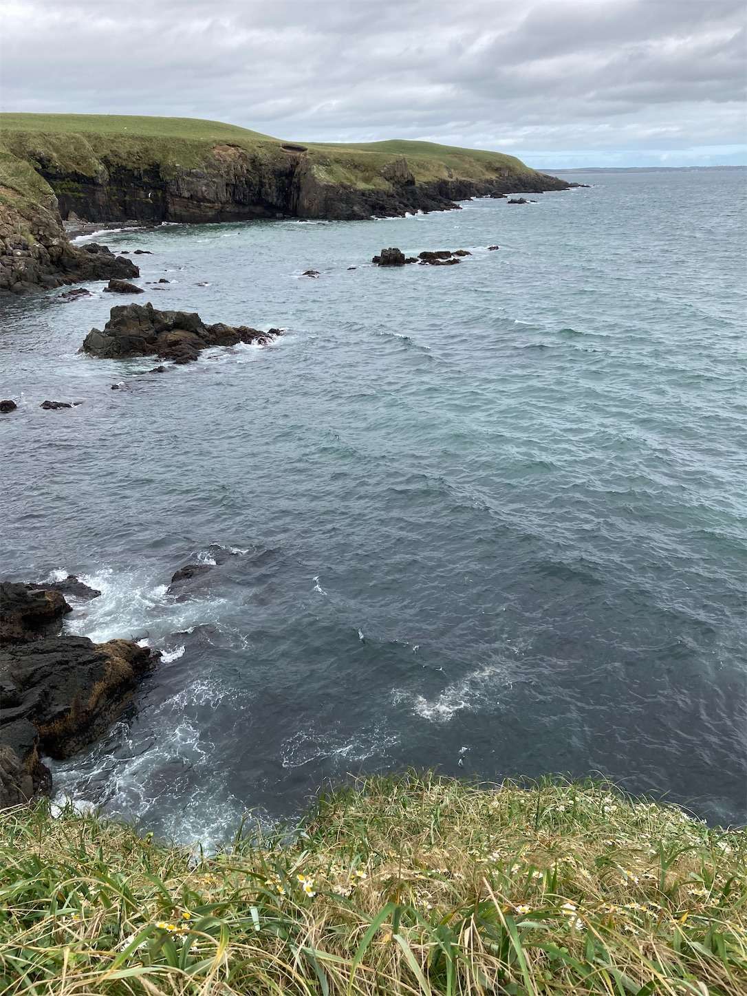 f:id:moomoon6355:20221004180954j:image f:id:moomoon6355:20221004180954j:image