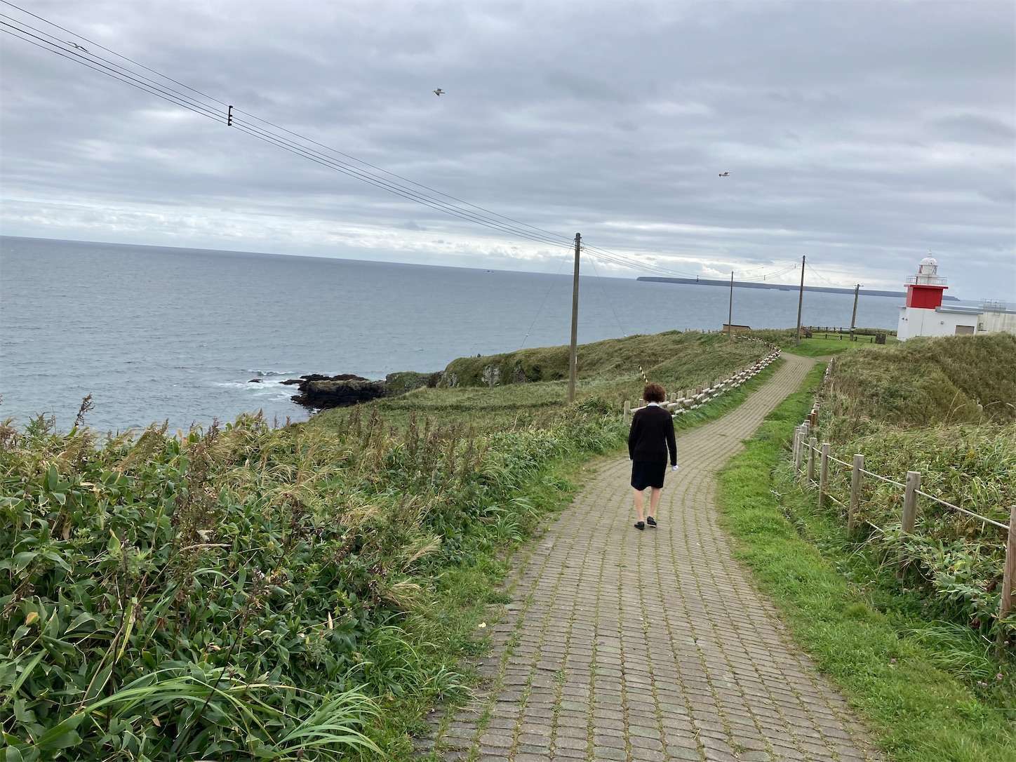 f:id:moomoon6355:20221004180959j:image