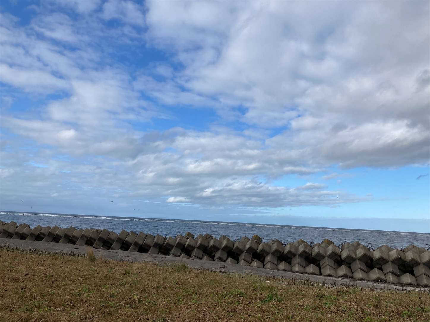 f:id:moomoon6355:20221004235747j:image f:id:moomoon6355:20221004235747j:image