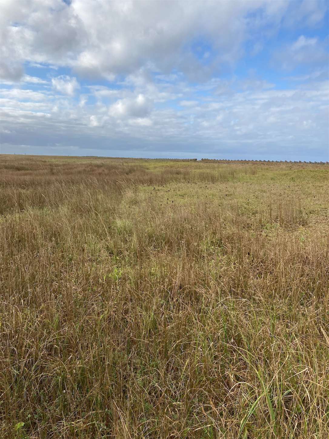 f:id:moomoon6355:20221004235752j:image f:id:moomoon6355:20221004235752j:image