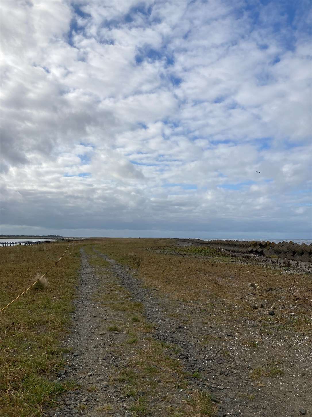 f:id:moomoon6355:20221004235757j:image f:id:moomoon6355:20221004235757j:image