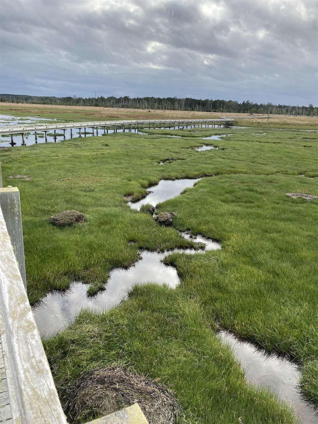 f:id:moomoon6355:20221004235815j:image f:id:moomoon6355:20221004235815j:image