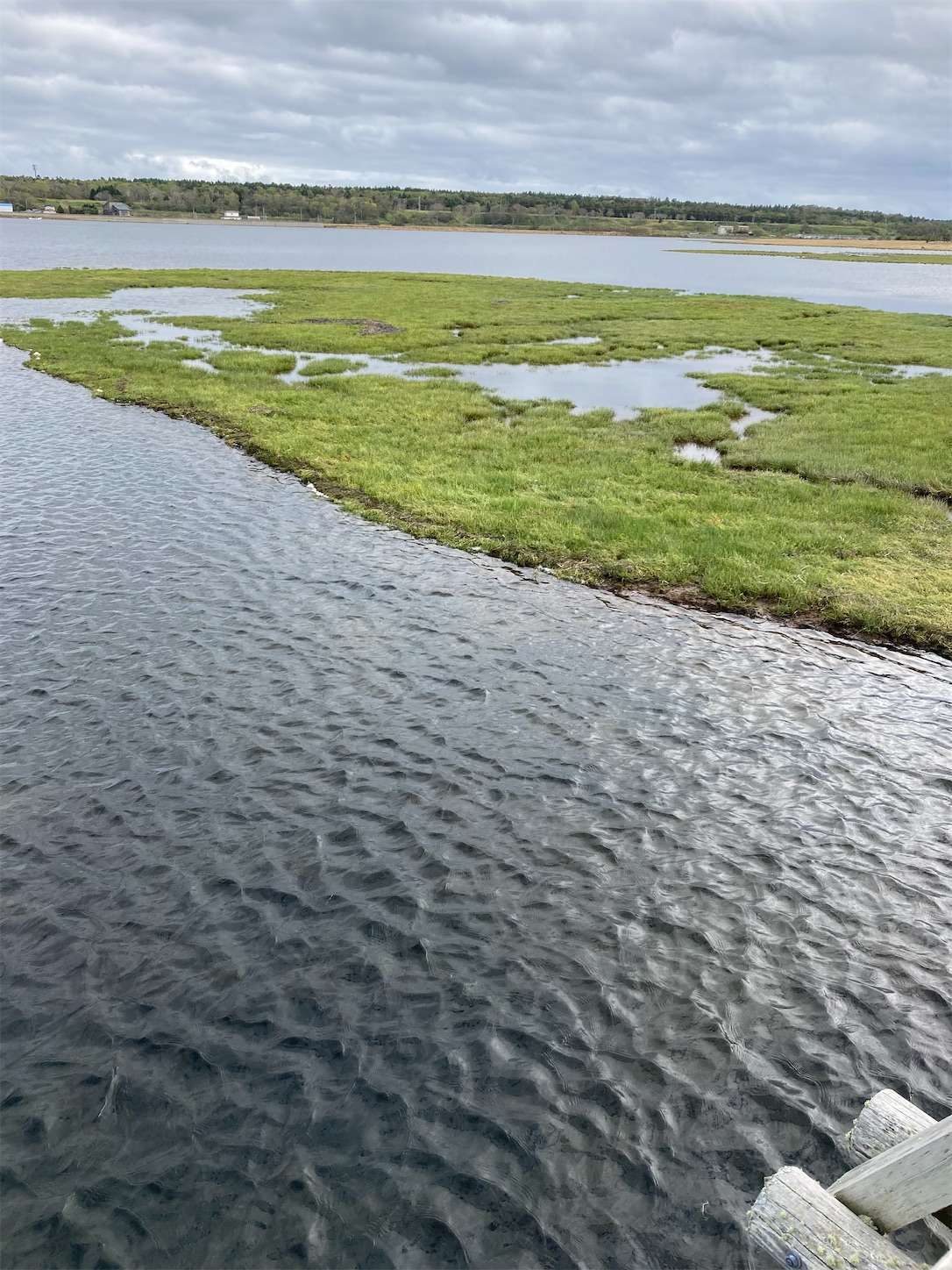 f:id:moomoon6355:20221004235819j:image f:id:moomoon6355:20221004235819j:image