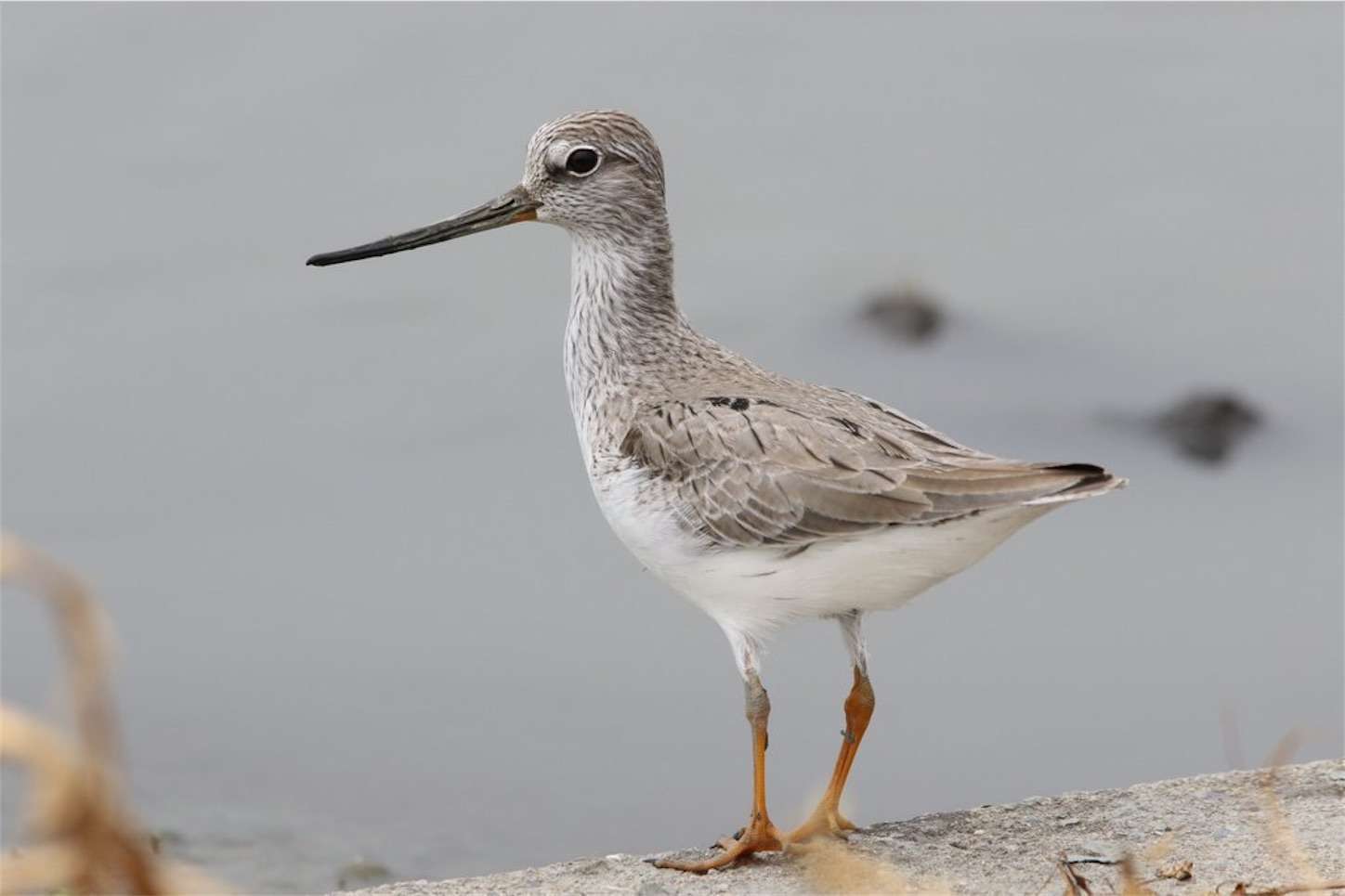 f:id:moomoon6355:20221008094159j:image f:id:moomoon6355:20221008094159j:image