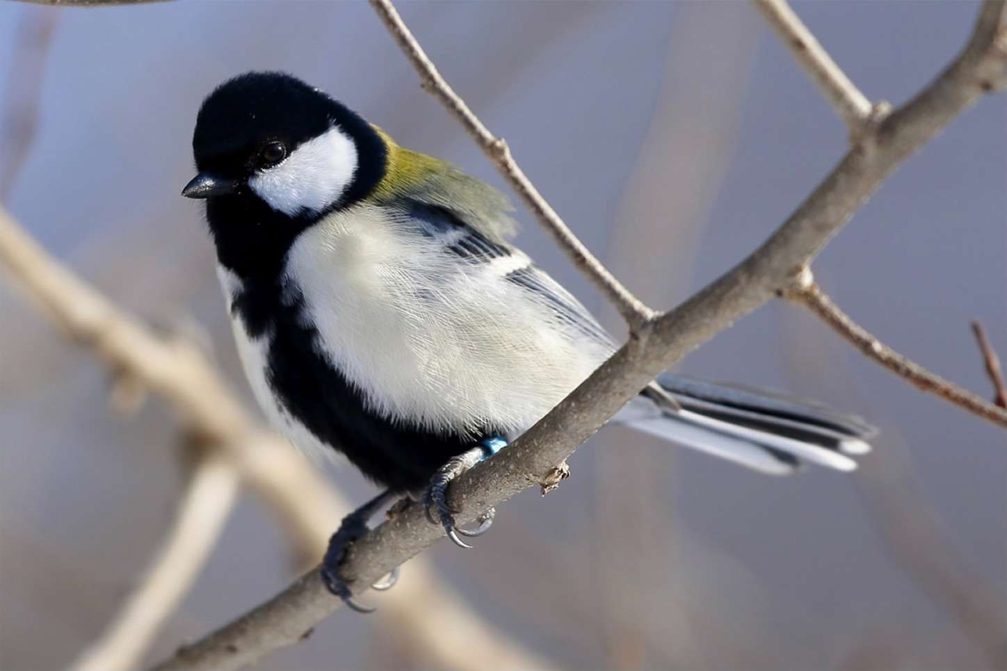 f:id:moomoon6355:20230111205625j:image