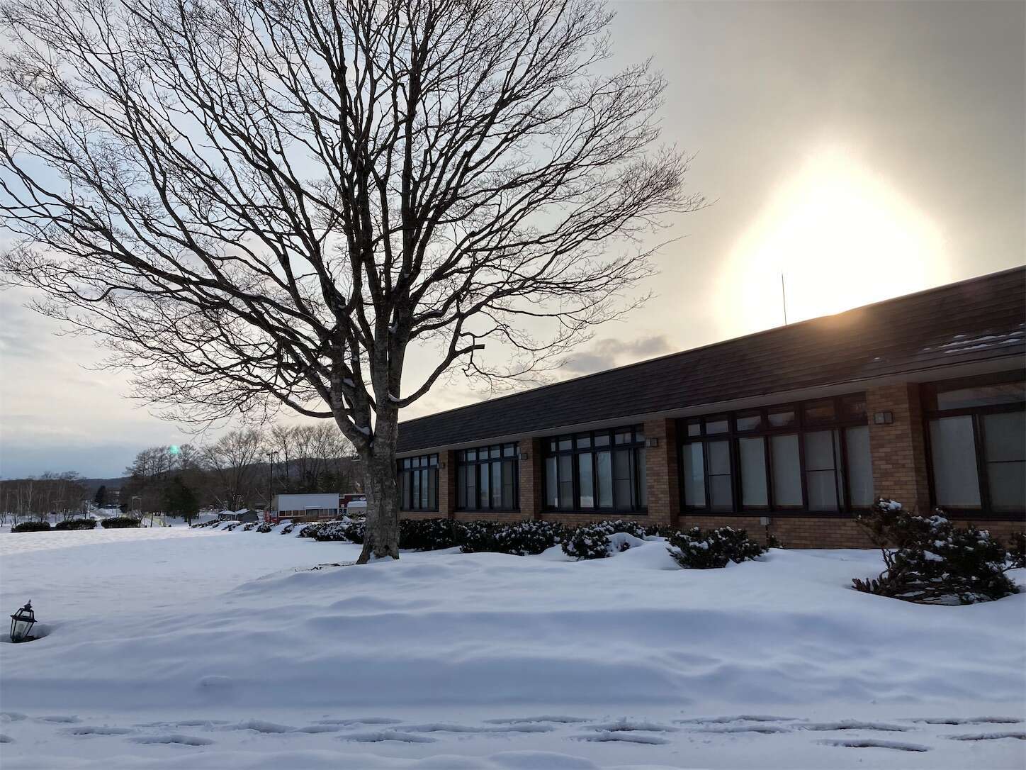 f:id:moomoon6355:20230304093018j:image f:id:moomoon6355:20230304093018j:image