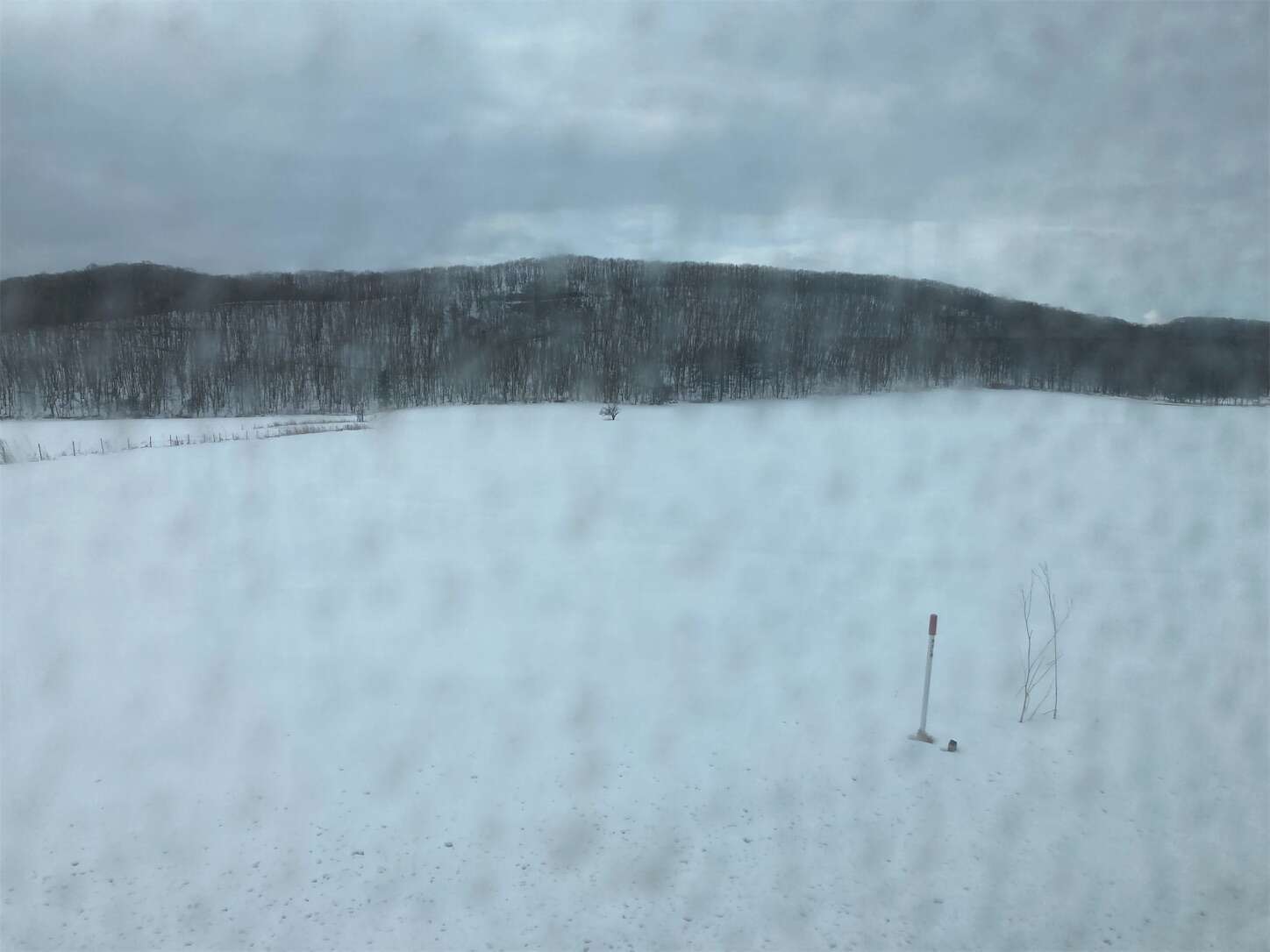 f:id:moomoon6355:20230304093052j:image f:id:moomoon6355:20230304093052j:image