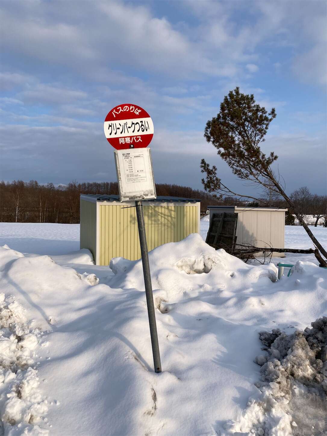 f:id:moomoon6355:20230304093111j:image f:id:moomoon6355:20230304093111j:image