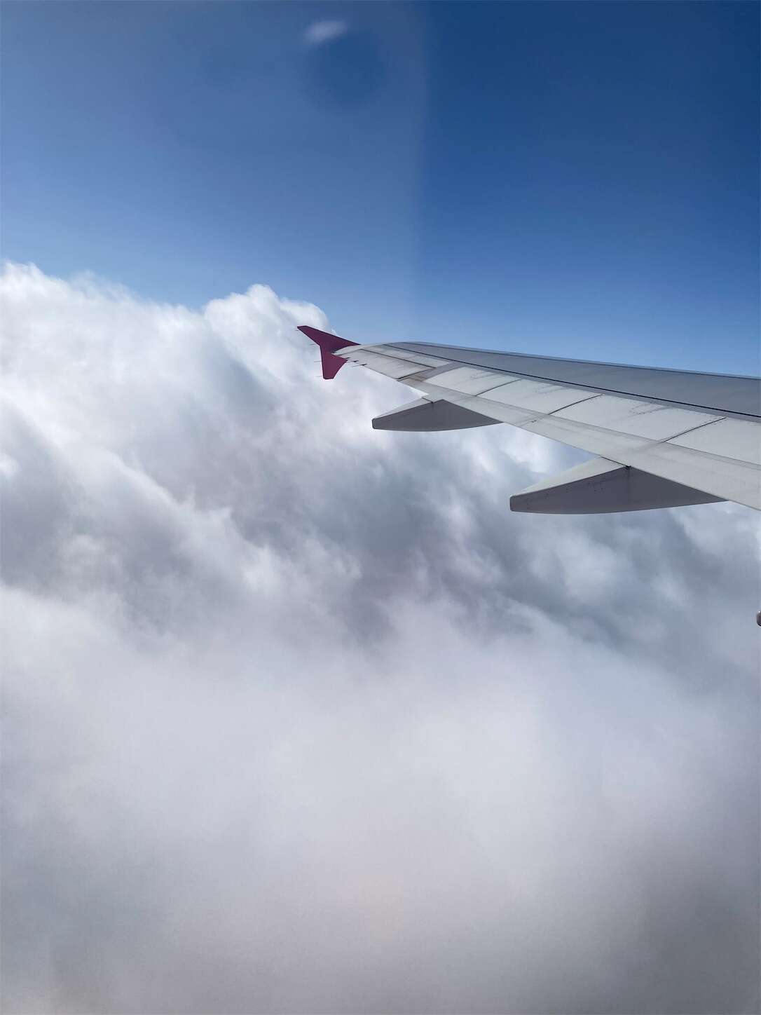 f:id:moomoon6355:20230304093216j:image f:id:moomoon6355:20230304093216j:image