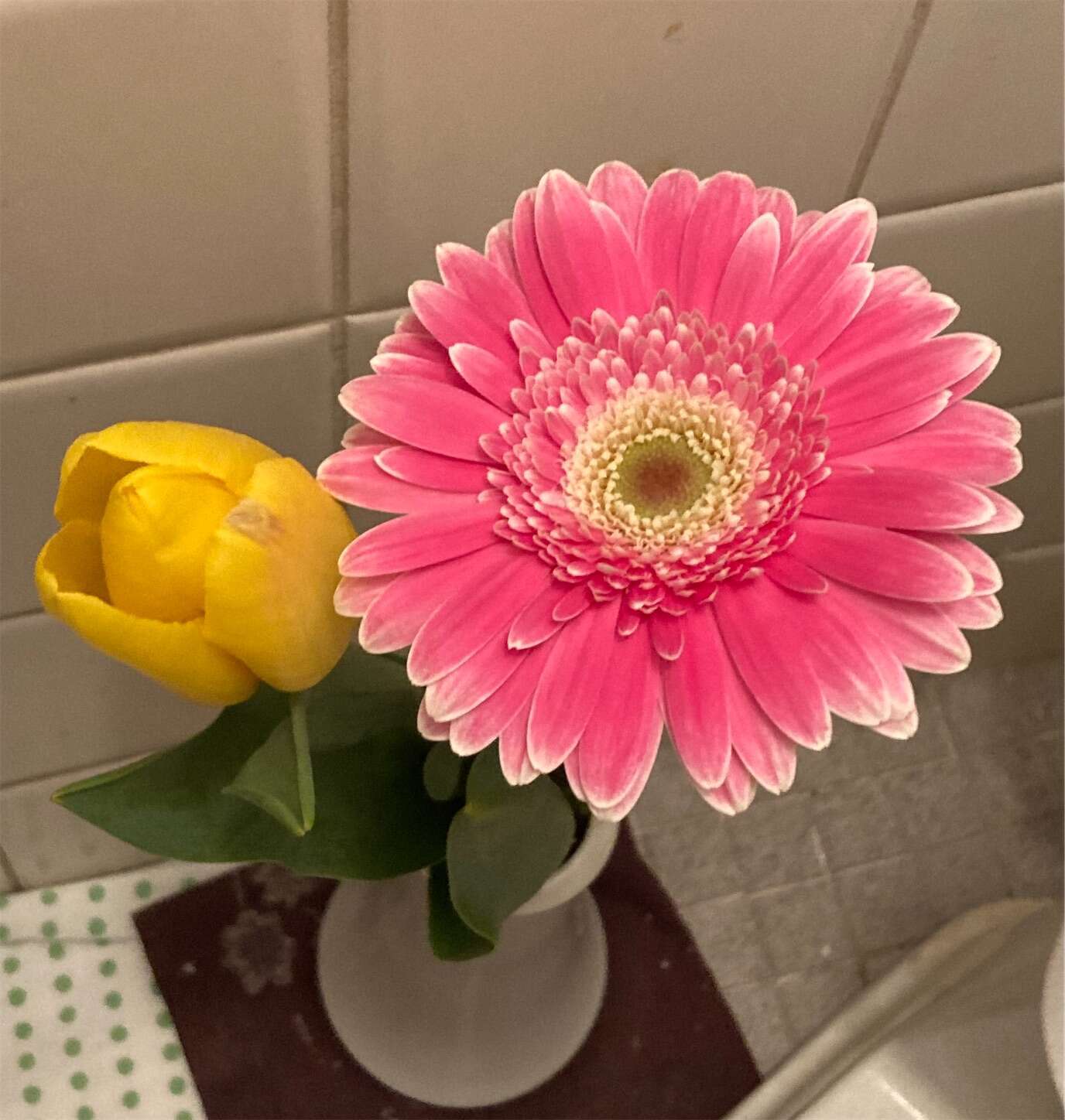 f:id:moomoon6355:20230313181841j:image f:id:moomoon6355:20230313181841j:image