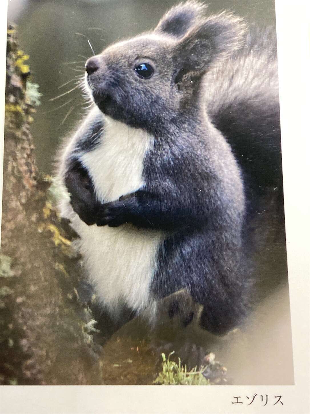 f:id:moomoon6355:20230413102201j:image