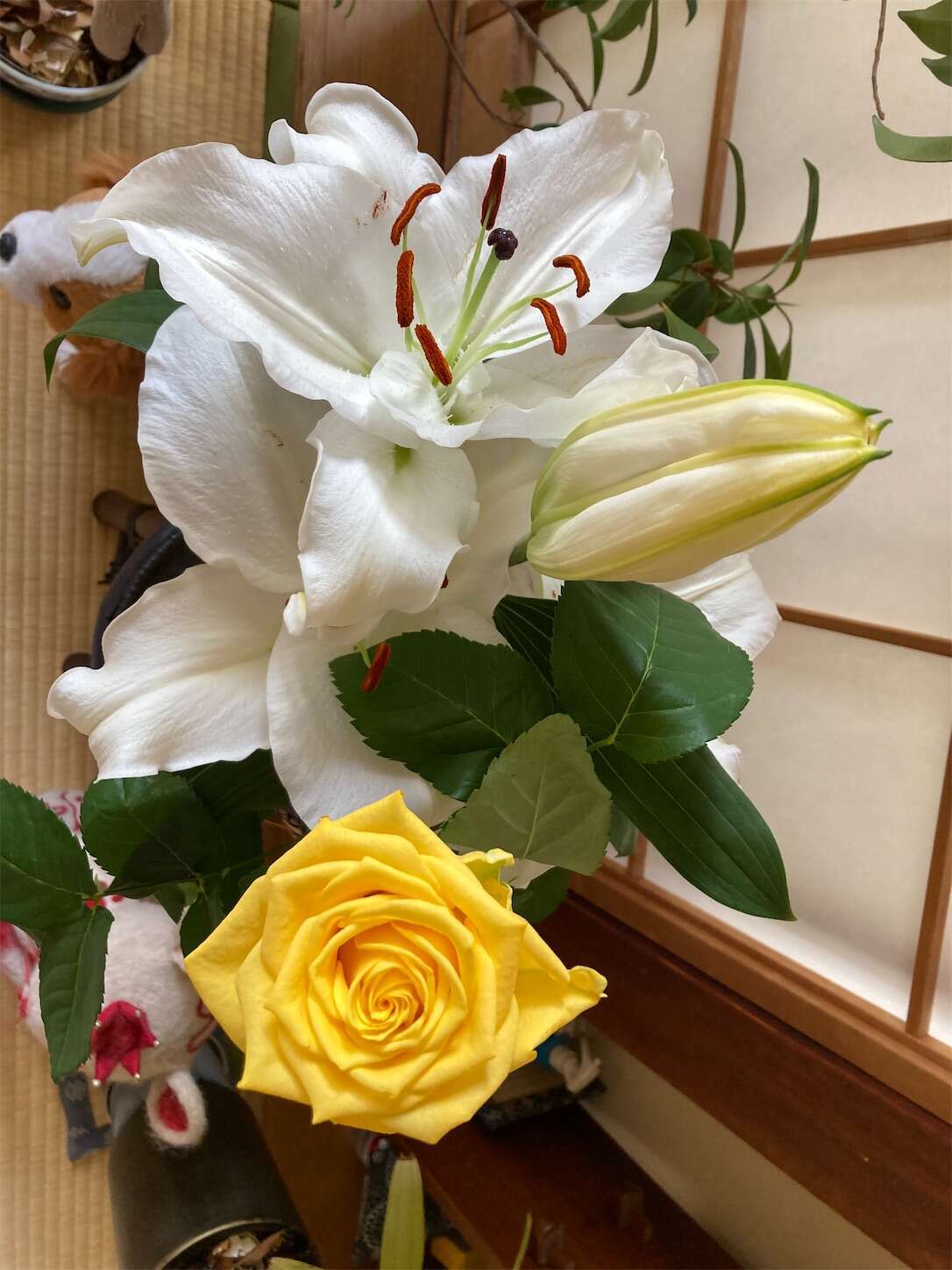 f:id:moomoon6355:20230413103828j:image