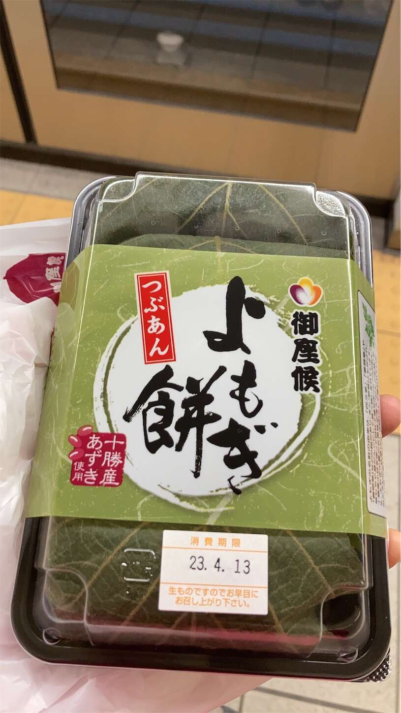 f:id:moomoon6355:20230413105308j:image