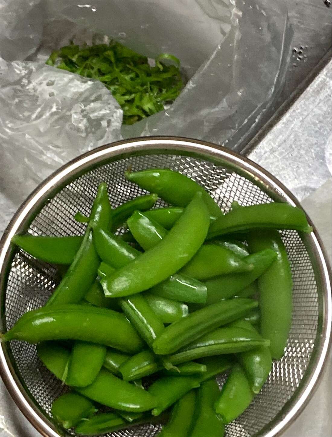 f:id:moomoon6355:20230413105320j:image