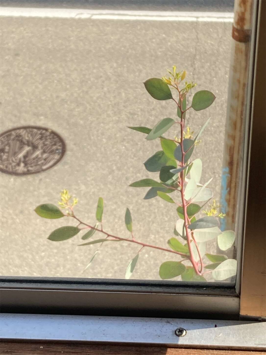 f:id:moomoon6355:20230413111237j:image