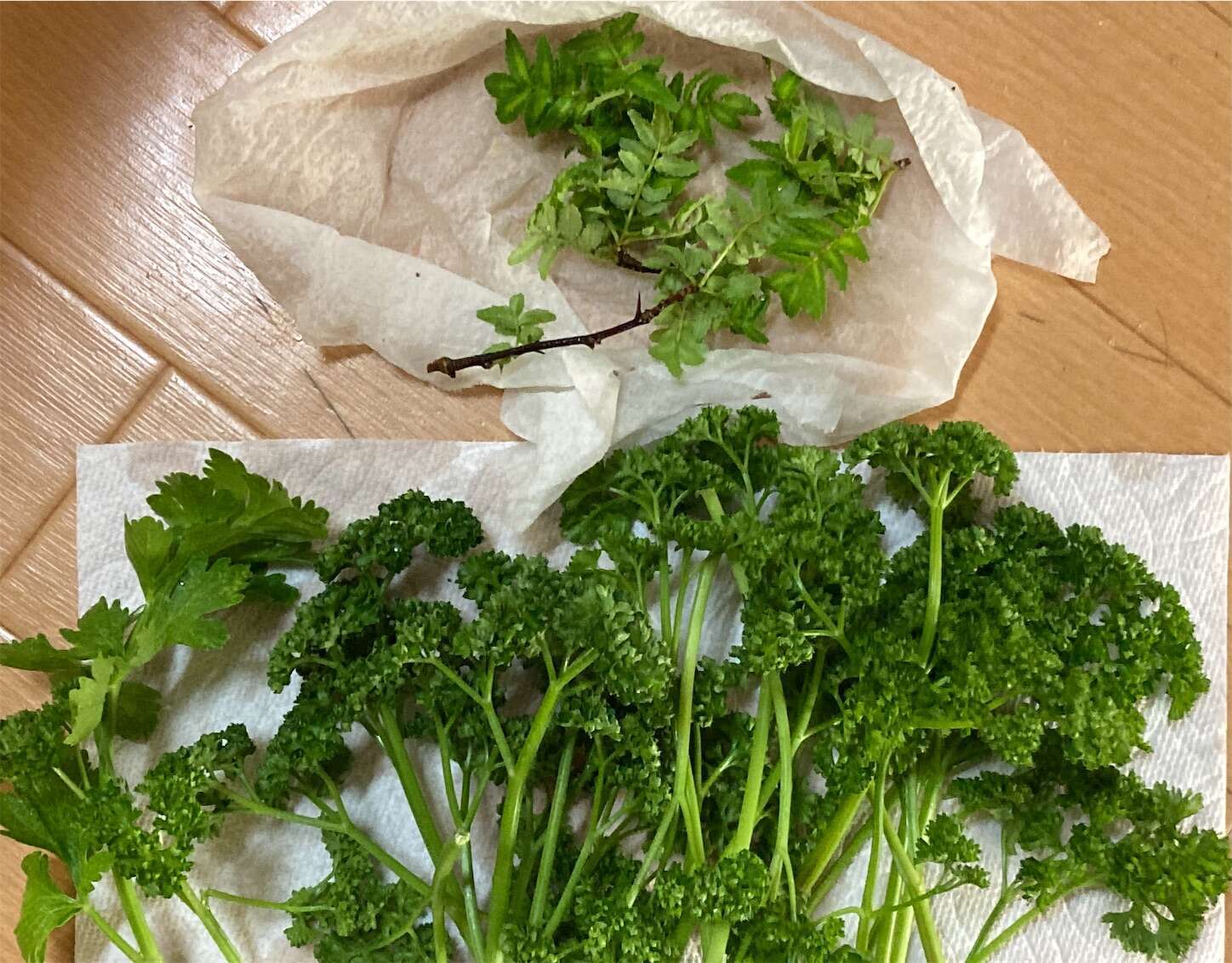 f:id:moomoon6355:20230413124614j:image