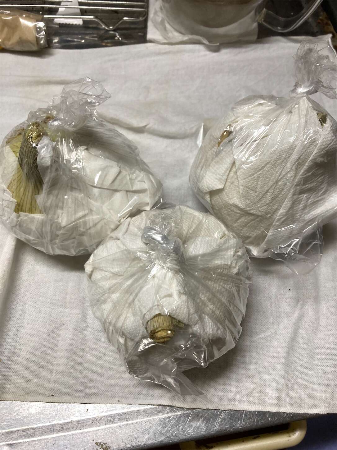 f:id:moomoon6355:20230422120241j:image