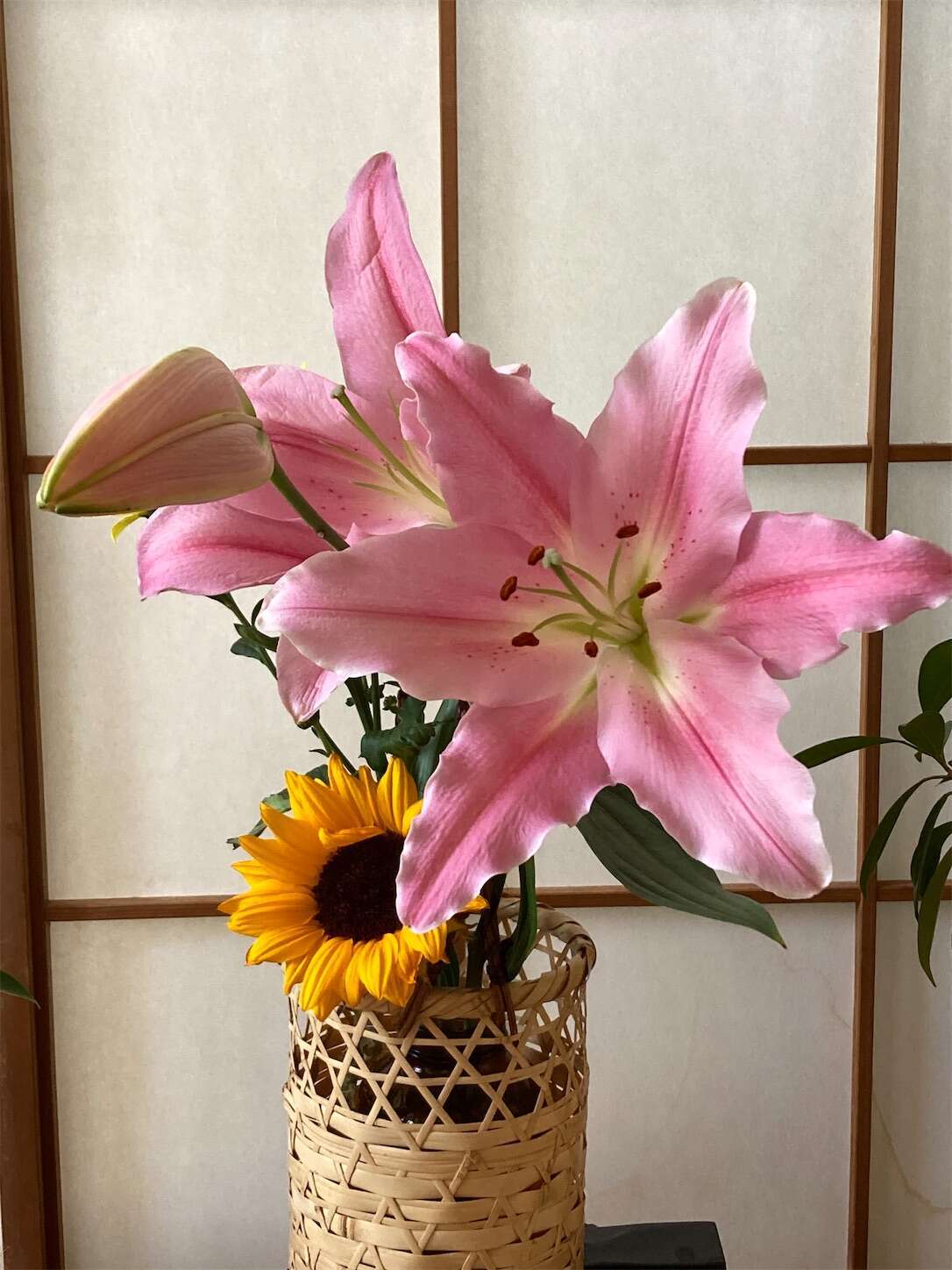 f:id:moomoon6355:20230428171140j:image