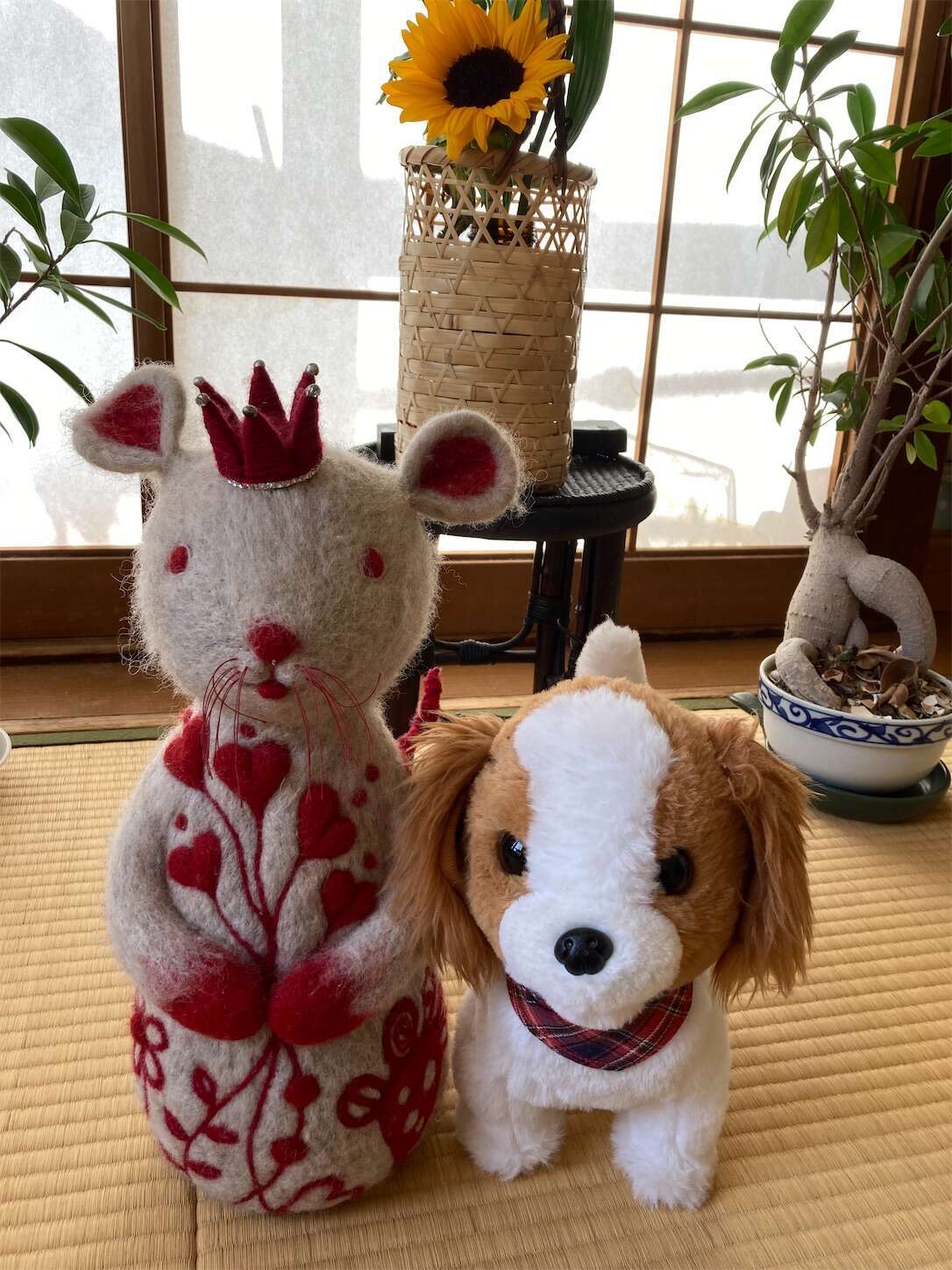 f:id:moomoon6355:20230428171145j:image