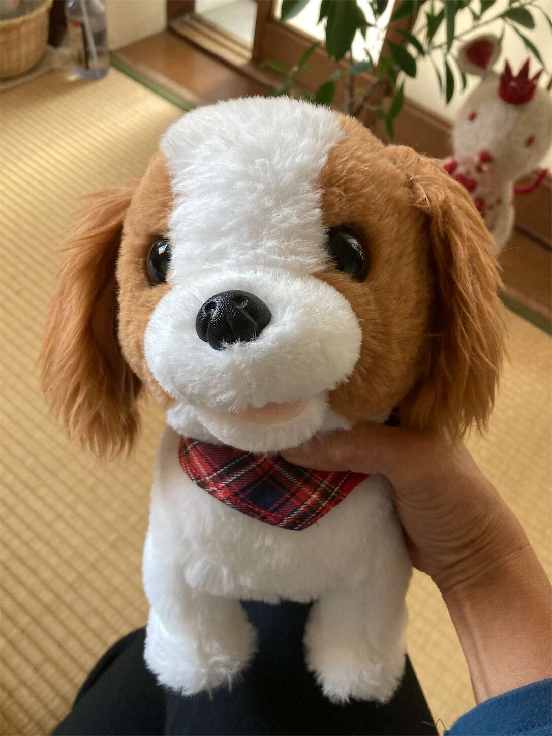 f:id:moomoon6355:20230428180425j:image