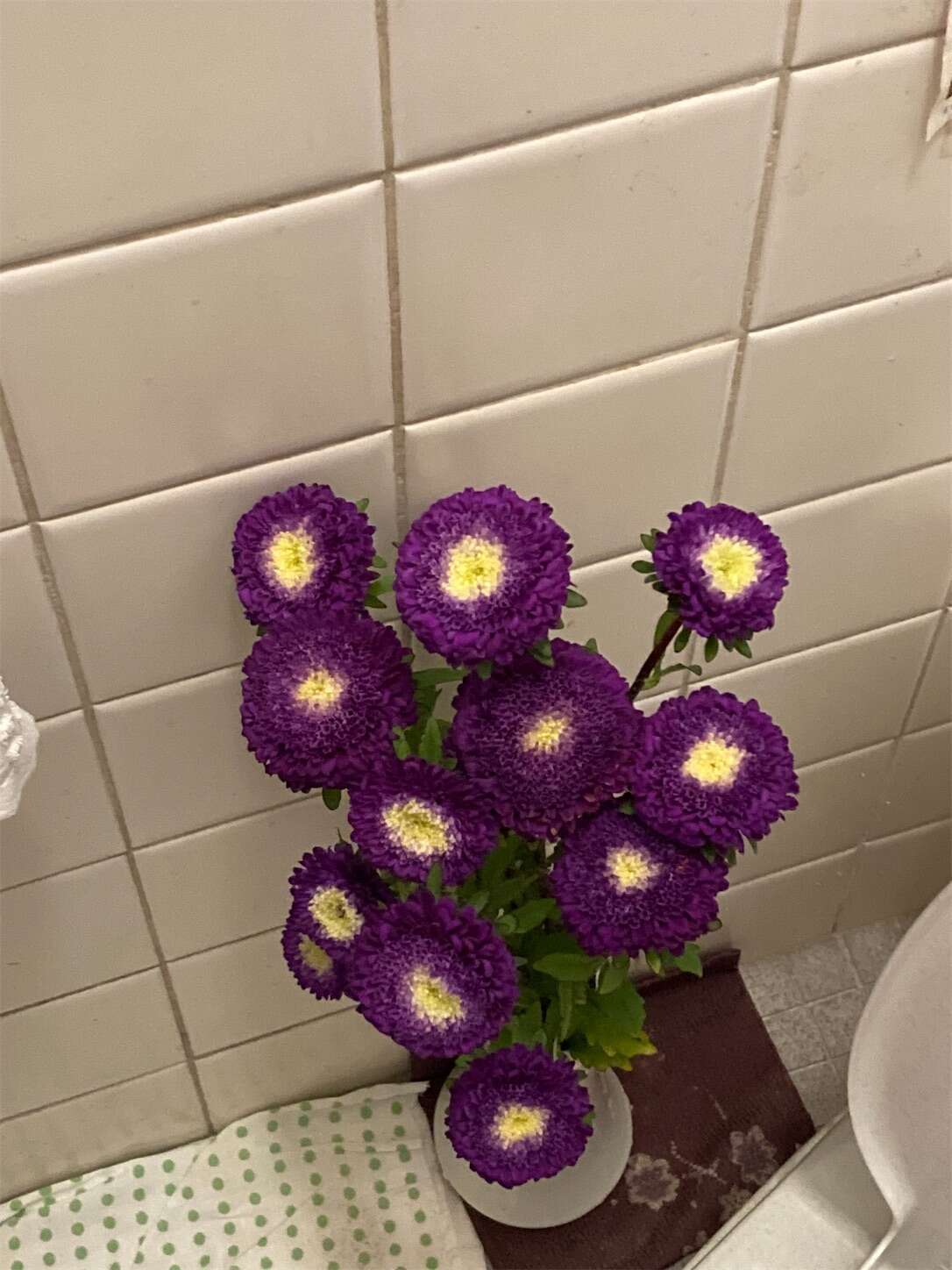 f:id:moomoon6355:20230802223509j:image f:id:moomoon6355:20230802223509j:image