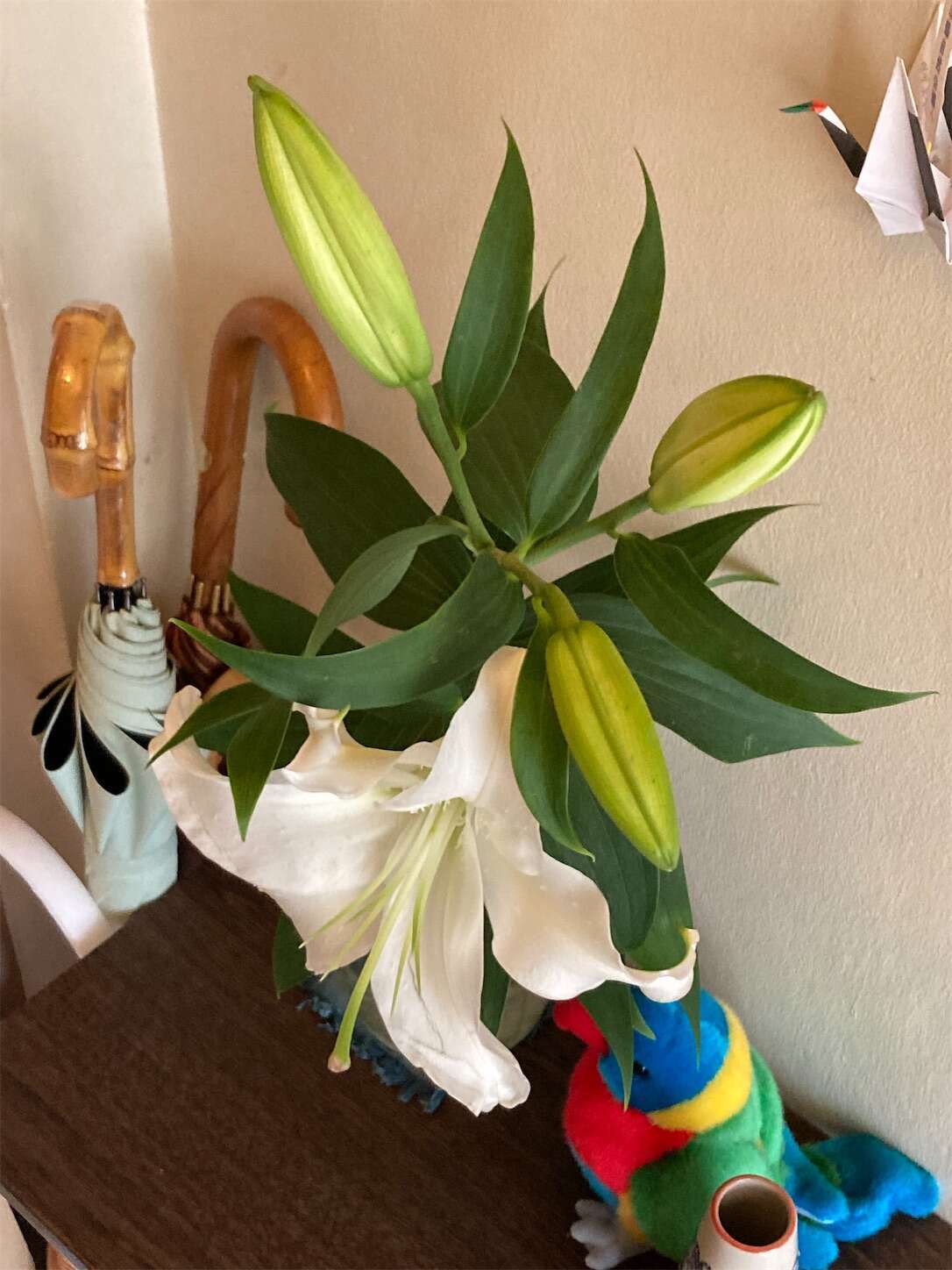 f:id:moomoon6355:20230802223520j:image f:id:moomoon6355:20230802223520j:image