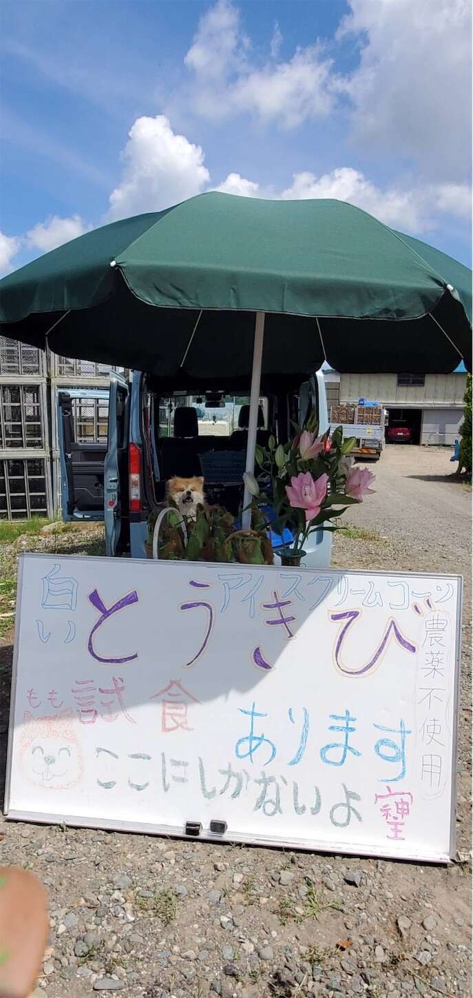 f:id:moomoon6355:20230802224429j:image f:id:moomoon6355:20230802224429j:image