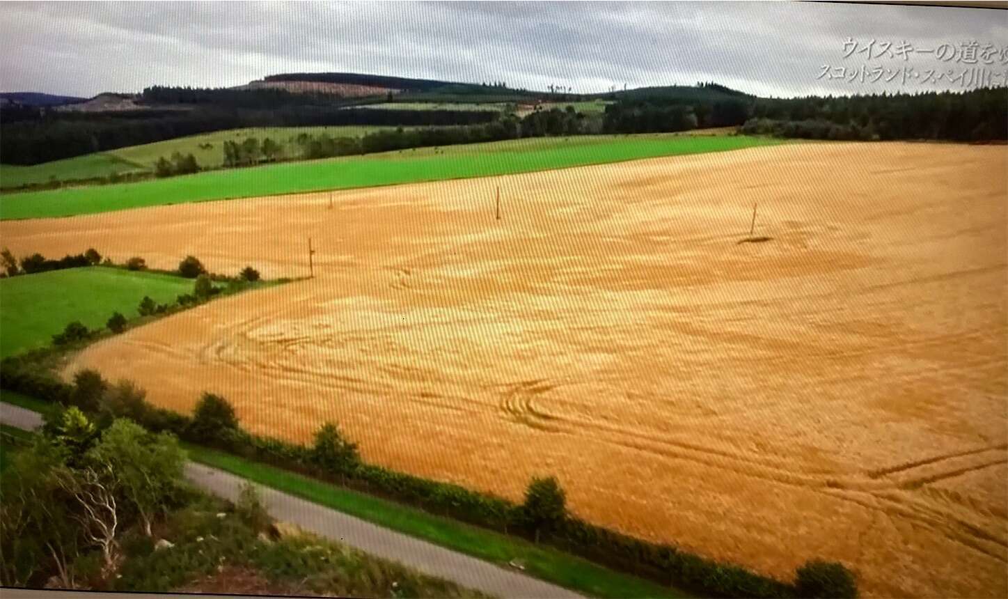 f:id:moomoon6355:20230802230605j:image f:id:moomoon6355:20230802230605j:image