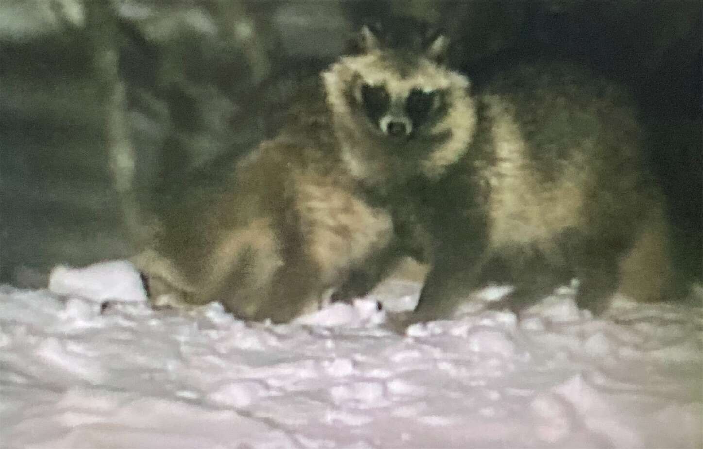 f:id:moomoon6355:20230802233227j:image f:id:moomoon6355:20230802233227j:image