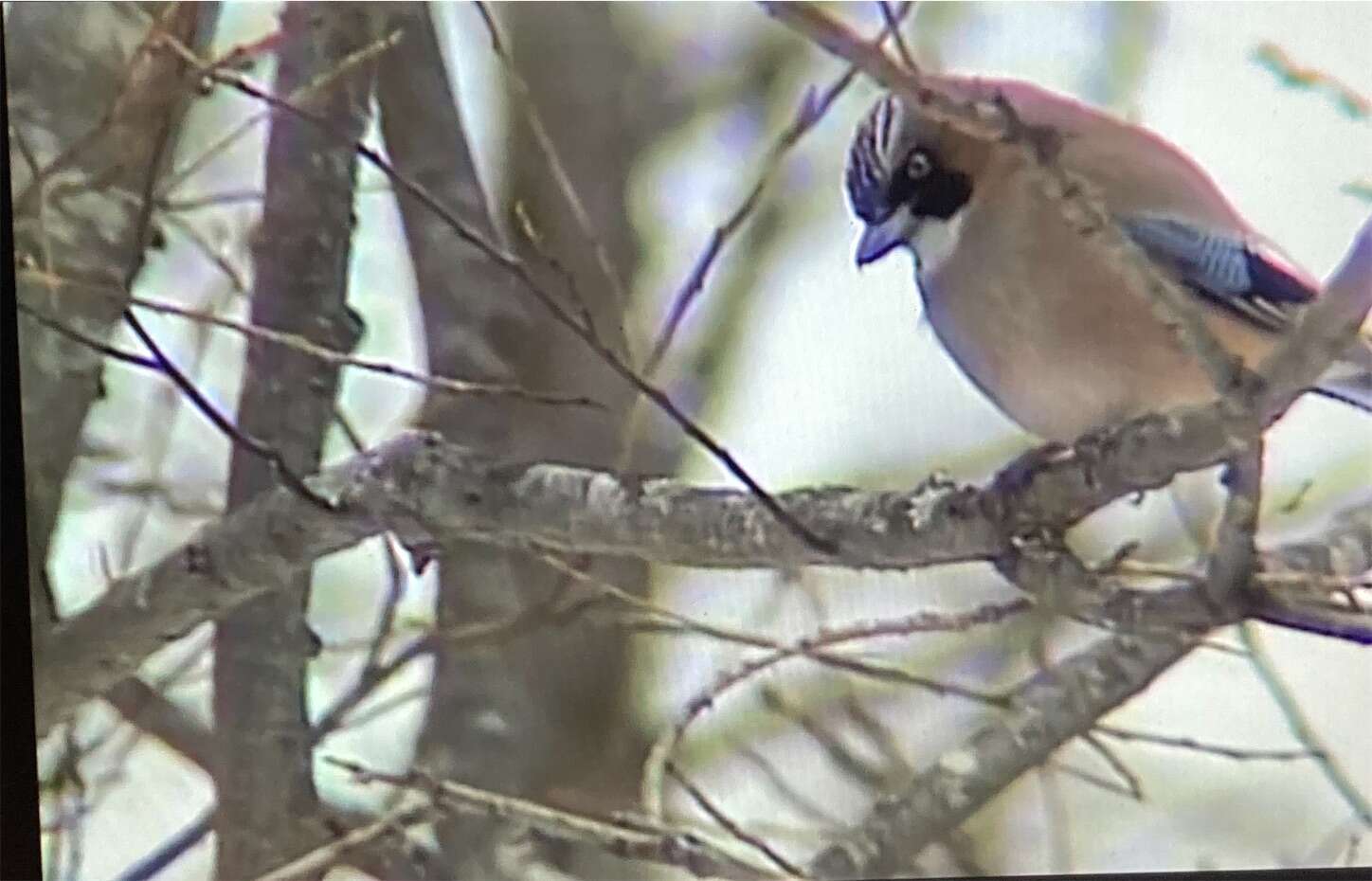 f:id:moomoon6355:20230802233233j:image f:id:moomoon6355:20230802233233j:image