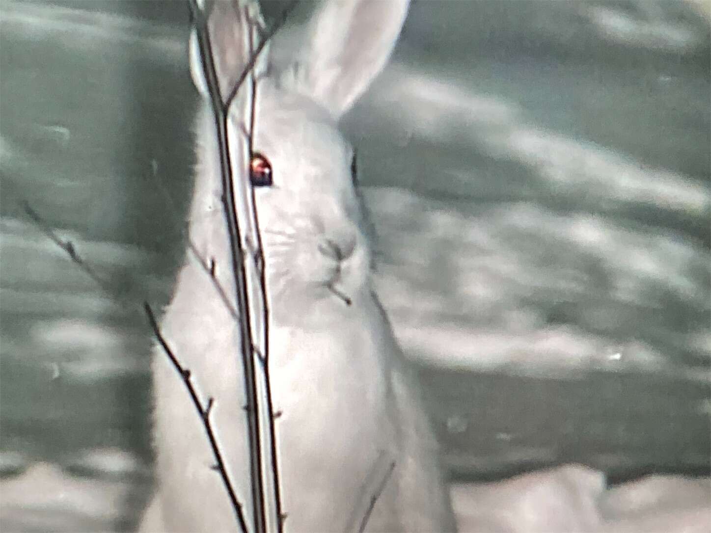 f:id:moomoon6355:20230802233237j:image f:id:moomoon6355:20230802233237j:image