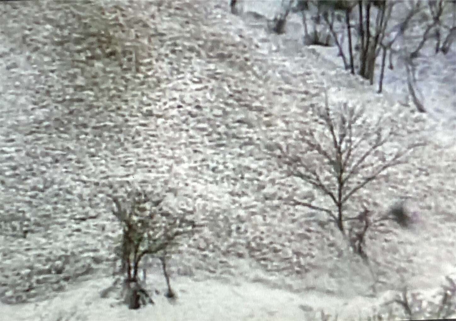 f:id:moomoon6355:20230802233247j:image f:id:moomoon6355:20230802233247j:image