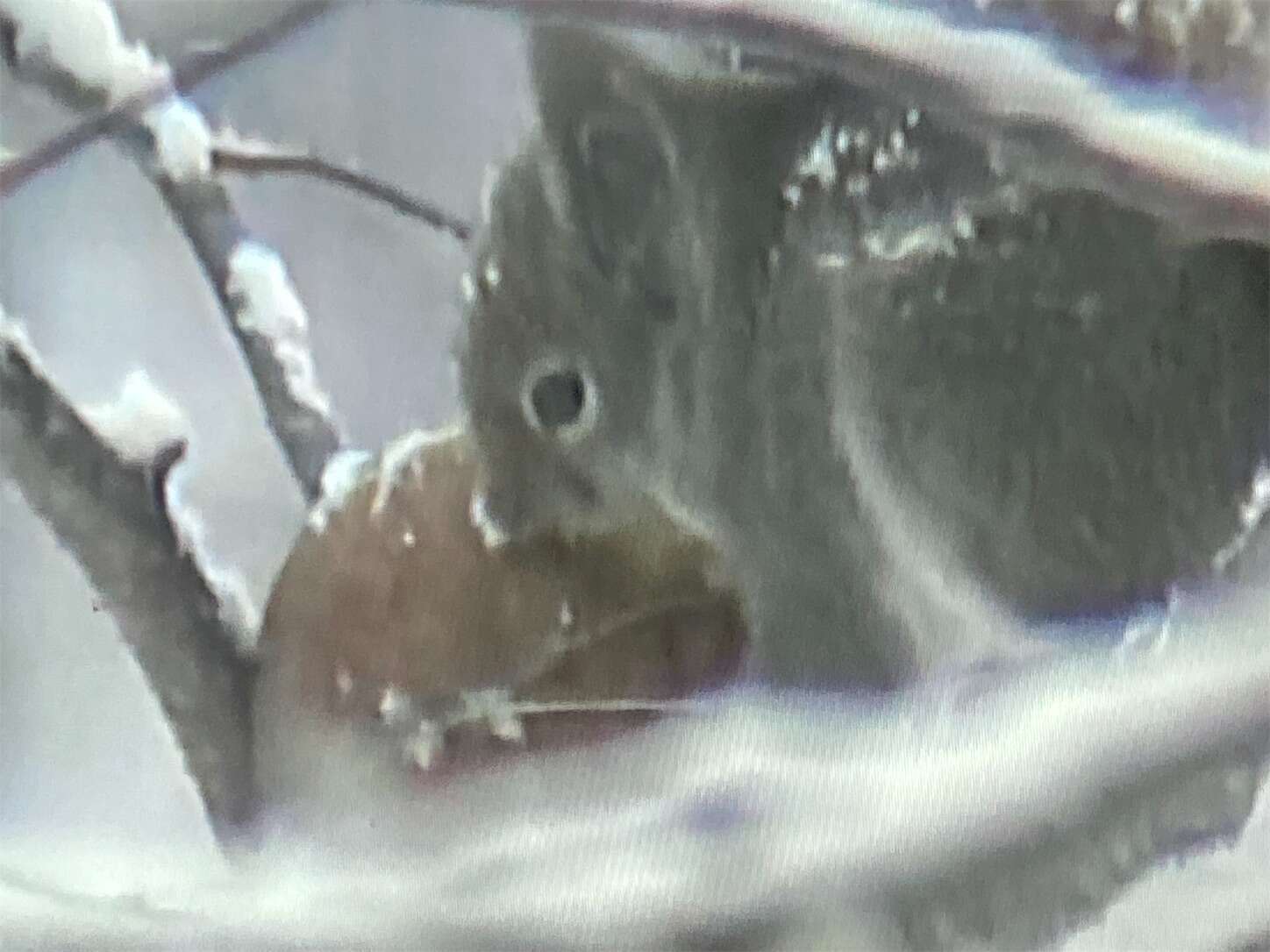 f:id:moomoon6355:20230802233258j:image f:id:moomoon6355:20230802233258j:image