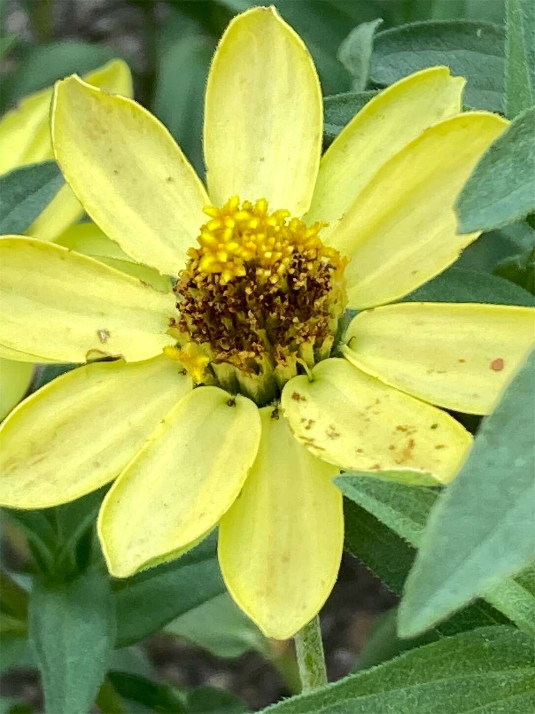 f:id:moomoon6355:20230805172837j:image