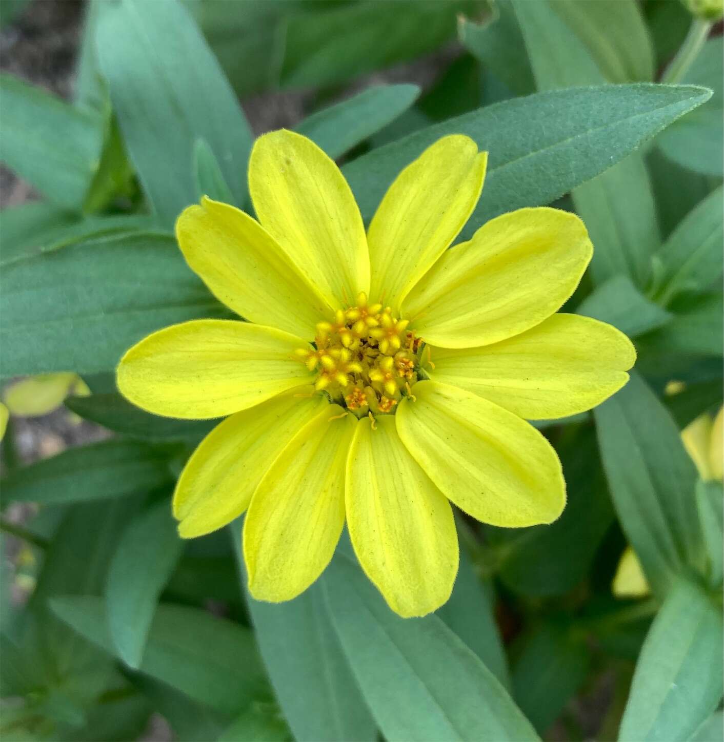 f:id:moomoon6355:20230805172844j:image