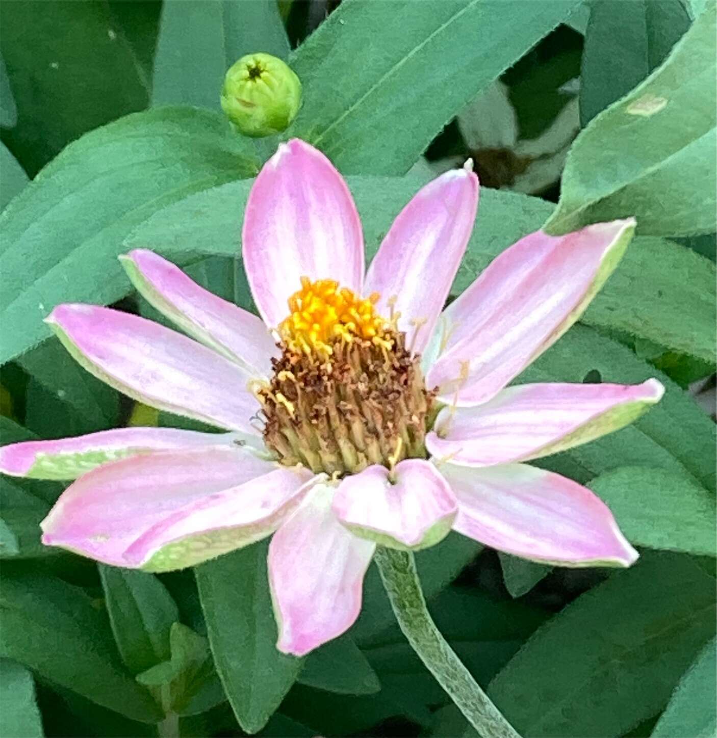 f:id:moomoon6355:20230805172848j:image