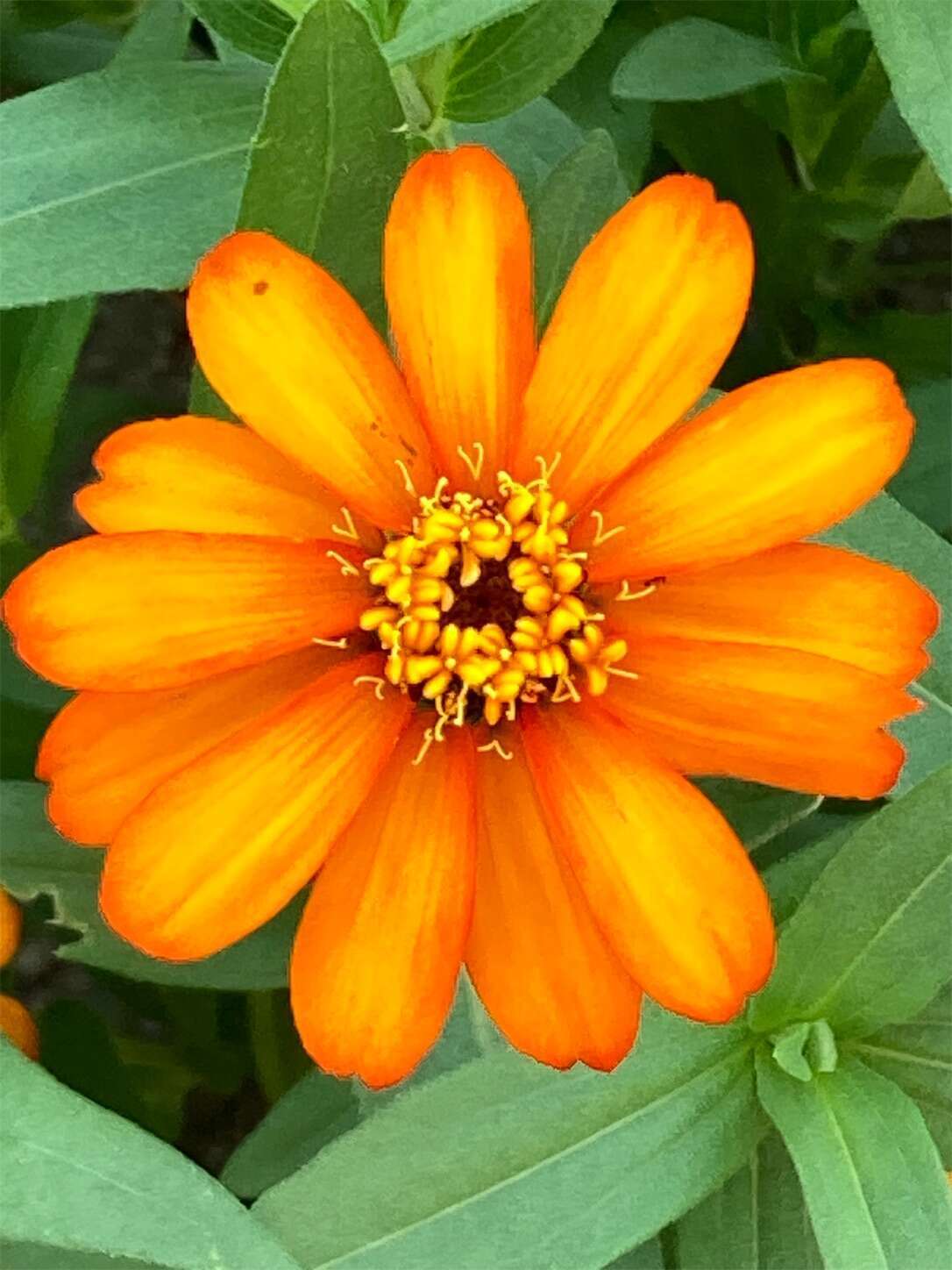 f:id:moomoon6355:20230805172856j:image