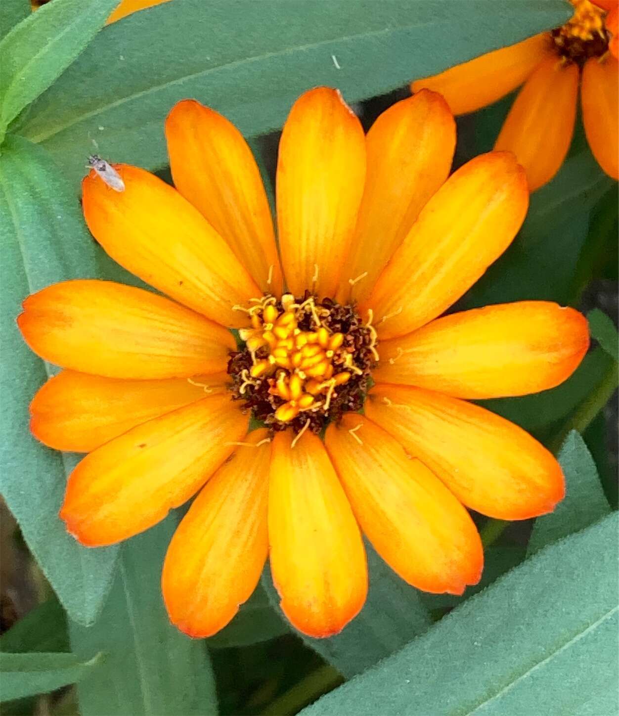 f:id:moomoon6355:20230805172859j:image