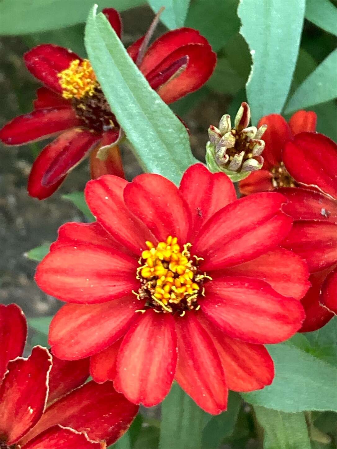 f:id:moomoon6355:20230805172903j:image