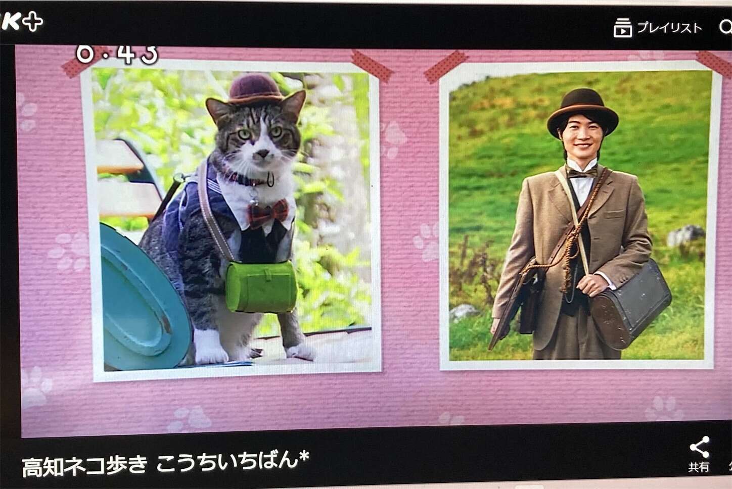 f:id:moomoon6355:20230805173059j:image