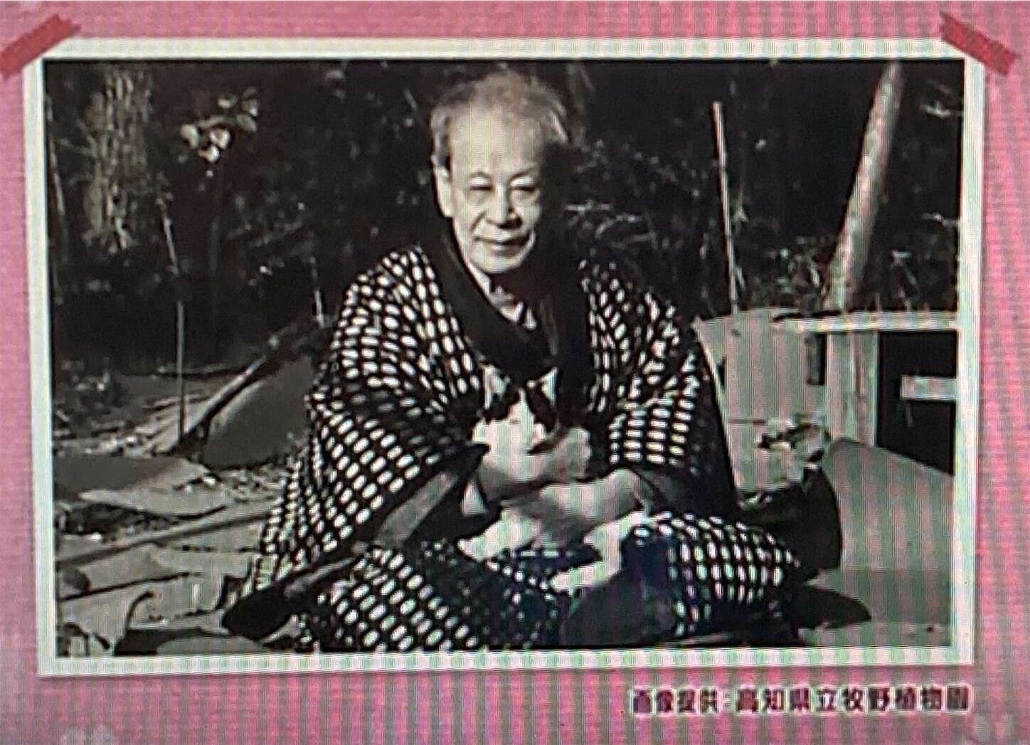 f:id:moomoon6355:20230805173103j:image