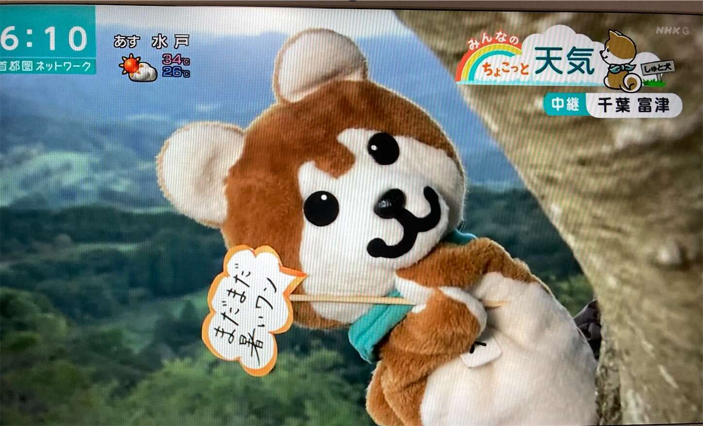 f:id:moomoon6355:20230823230512j:image