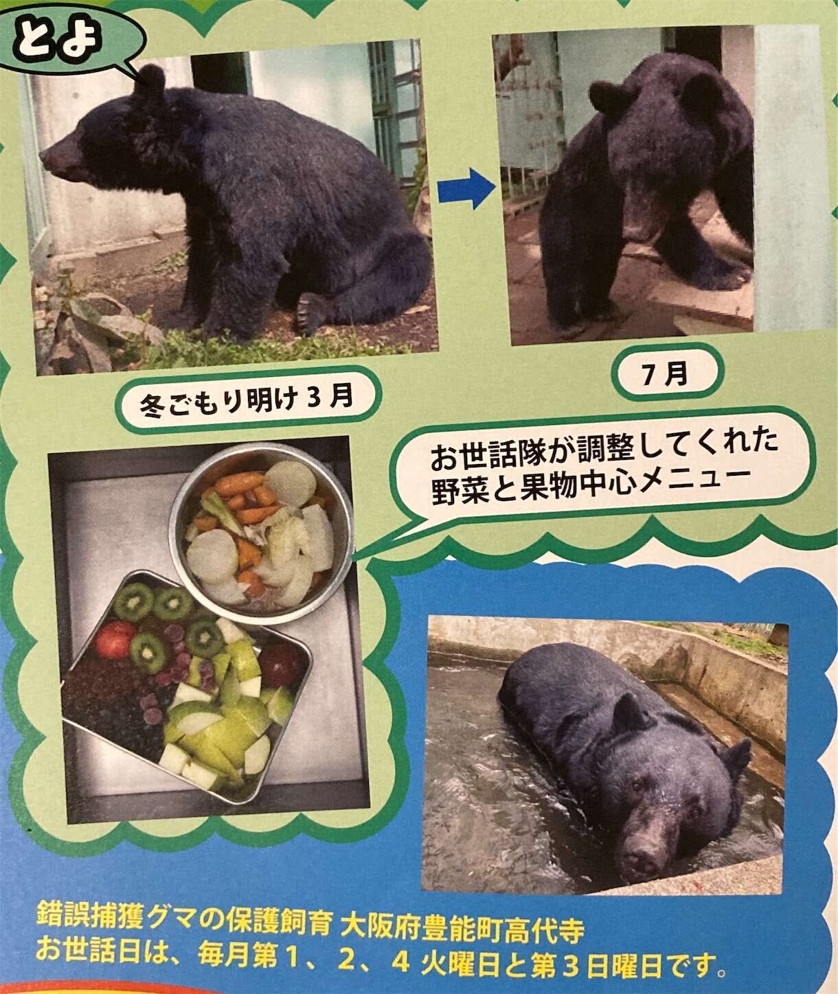 くま・クマ・熊・羆（ヒグマ） - ムウアロハ 手仕事の日々