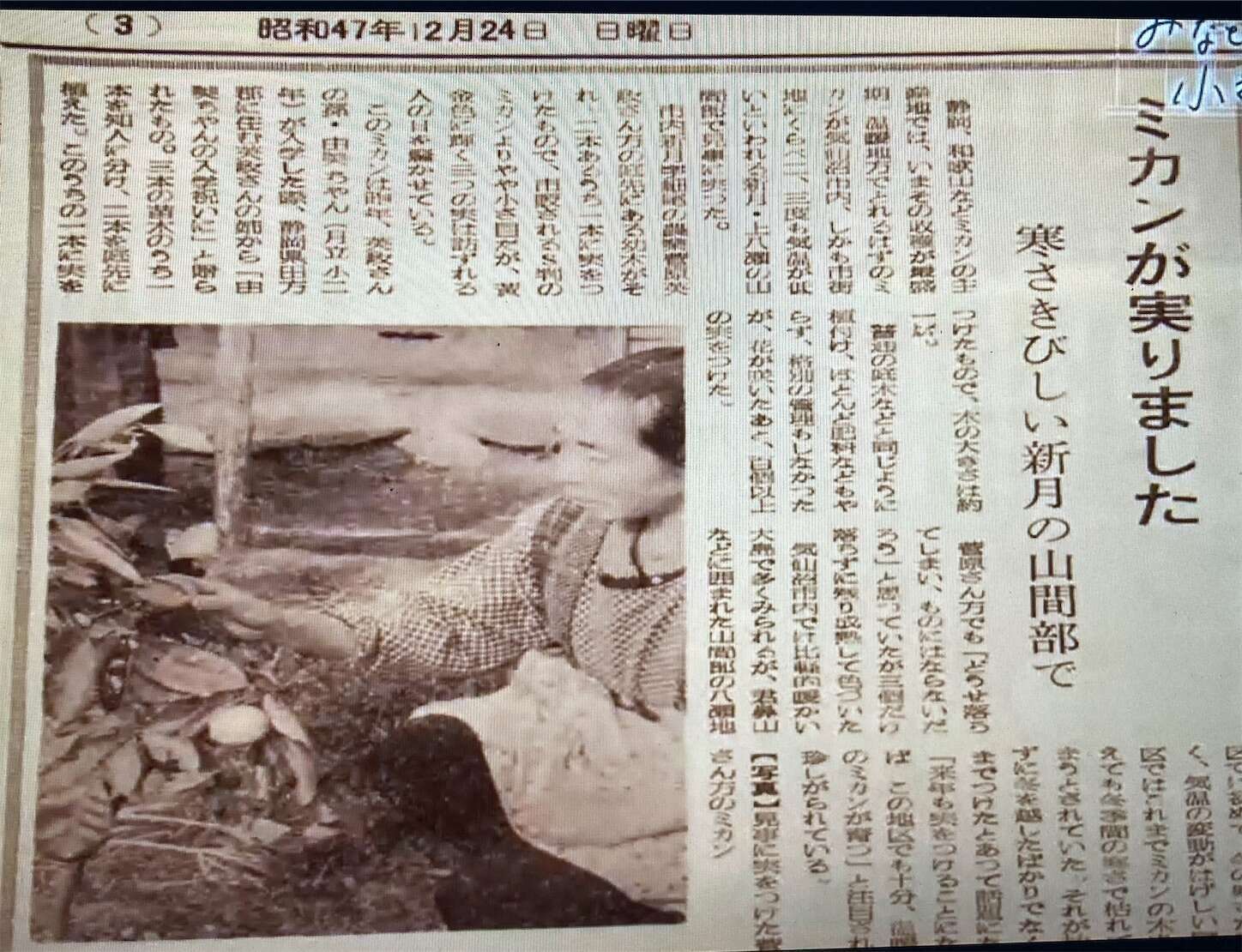 f:id:moomoon6355:20230905205916j:image