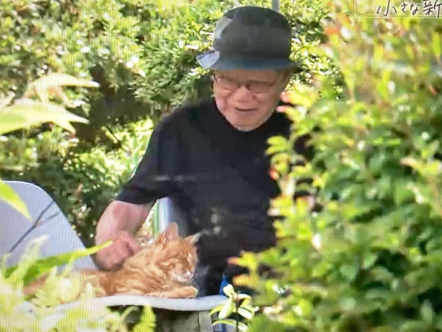 f:id:moomoon6355:20230905210536j:image