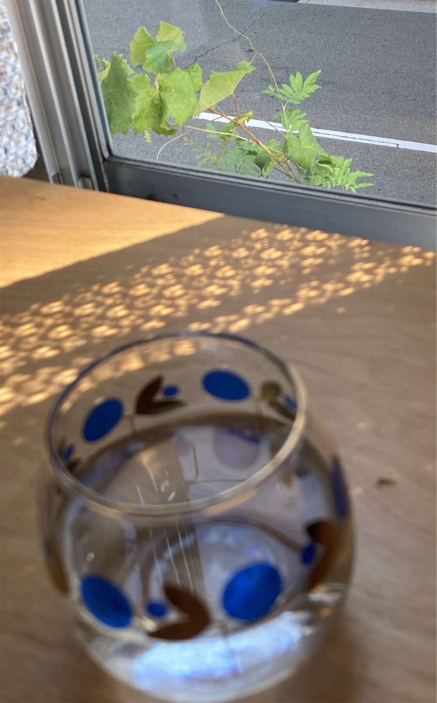 f:id:moomoon6355:20230929220601j:image