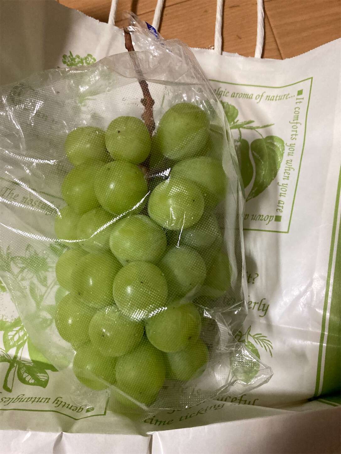 f:id:moomoon6355:20230929221027j:image